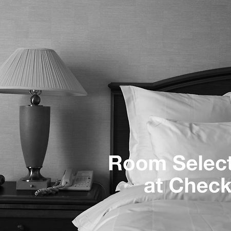 Hotel 7 Saisons 蒙特利尔 客房 照片