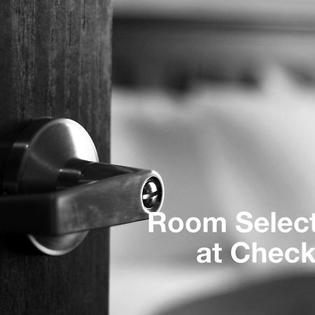 Hotel 7 Saisons 蒙特利尔 客房 照片